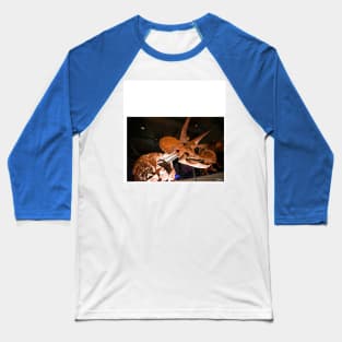 the triceratops dinosaur fossil in museum portrait ecopop photo art Baseball T-Shirt